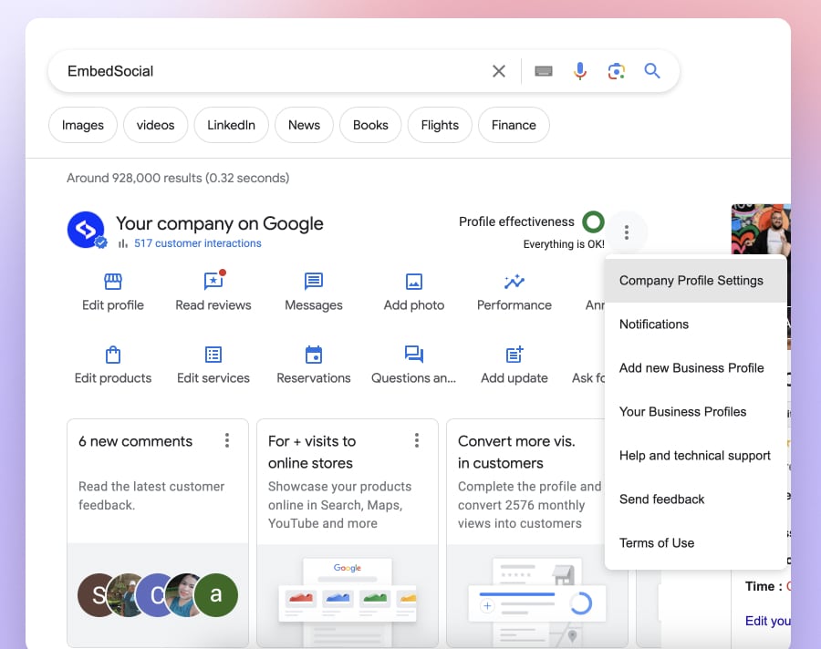 embedsocial's google business profile page in search